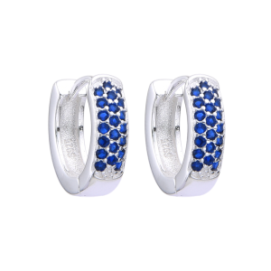 Zarcillos con Circones