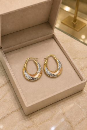 Argollas de 3 Oros