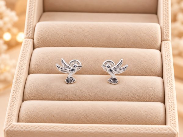 Aretes De Colibrí